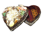 Deniz Kabuğu Kutu 15x15x7 cm.