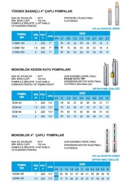 Atlantis  SCM 4A    1Hp 220V  Çok Kademeli  Monoblok Keson Kuyu Pompa (10 m kablolu, kumanda panolu, taşıma halatlı)