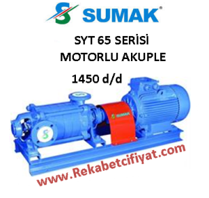 SUMAK SYT 65/6 20HP 380V Yatay Milli Kademeli Pompa + Motor