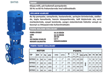 Sumak SHT65/2 40hp 380v Düşey Milli Kademeli Pompa