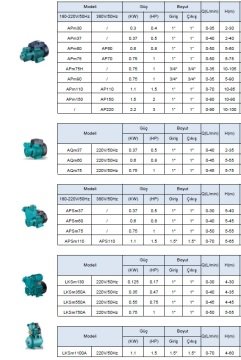 Leo  AP70    1HP 380V   Preferikal Sürtme Fanlı Santrifüj Pompa