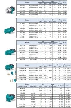 Leo  AJDm55/2H    0.75Hp 220V  Döküm Gövdeli Derinden Emişli Enjektörlü Kuyu Tipi Jet Pompa