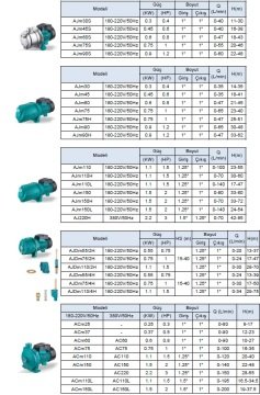 Leo  ACm37     0.5 Hp  220V    Tek Kademeli Santrifüj Pompa