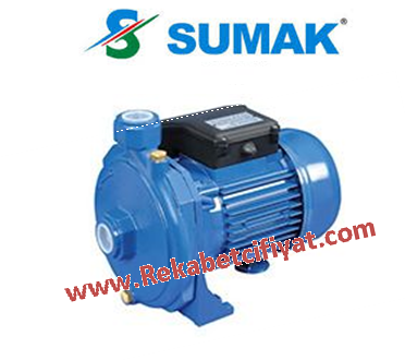 SM100 1HP 220V 1'' ÇIKIŞLI  SANTRİFÜJ POMPA