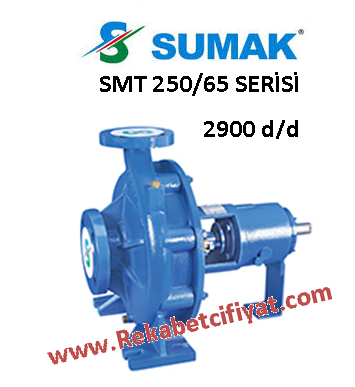 SUMAK SMT 250/65 50HP Salyangoz Tip 2900d/d Çıplak Pompa