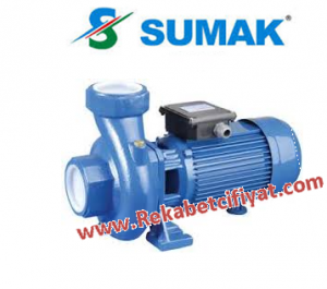 SMT150/2 1,5HP 380V 2'' ÇIKIŞLI SANTRİFÜJ POMPA