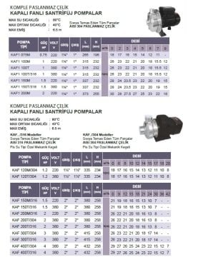 Atlantis Blu Kaf1 100T 1hp 380v Komple Paslanmaz Kapalı Fanlı Santrifüj Pompa