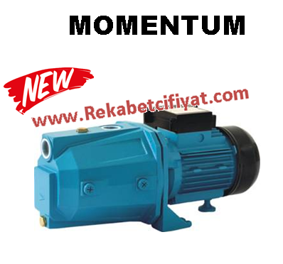 Momentum EJm100  1Hp 220v  Döküm Gövdeli Jet Pompa