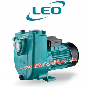 LEO, XHSm2000 2HP 220V 2'' Çıkışlı Klapeli Pis Su Pompası