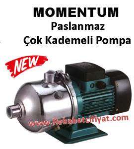 MOMENTUM PDHm4-60 1.5hp Paslanmaz Çok Kademeli Pompa