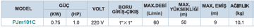 Momentum Pjm101C 1hp 220v Paslanmaz Gövdeli Jet Pompa