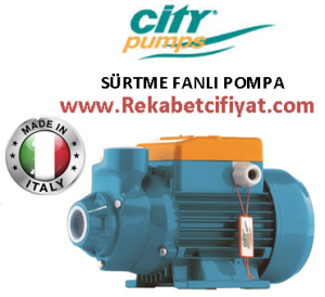 CITY IP 700M 0.7HP 220V Sürtme Fanlı Preferikal Santrifüj Pompa ( İtalyan Malı )