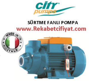 CITY IP 900M 1HP 220V Sürtme Fanlı Preferikal Santrifüj Pompa ( İtalyan Malı )