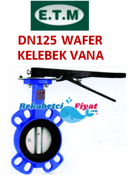 E.T.M. DN125 PN 6-10-16 Döküm Gövdeli Wafer Kelebek Vana