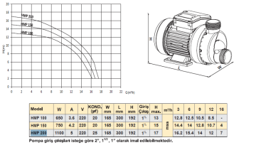 TROY HMP 100 650w 220v Jakuzi Pompası
