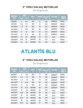 Atlantis  5K2000T      20Hp 380/660V   5'' Dalgıç Motor (Yerli, Su Soğutmalı)