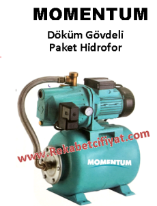 MOMENTUM PM1300 LA3 1..25HP 220V Döküm Gövdeli Jet Pompa ( 4kat - 8 daire)