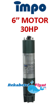 İMPO 30Hp - 22Kw 6'' Dalgıç Motor (V Tipi)