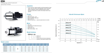 Leo EDH 2-50 0.75hp 380v Paslanmaz Çelik Çok Kademeli Santrifüj Pompa
