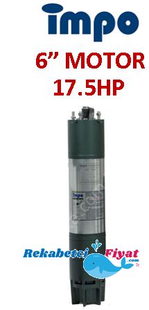 İMPO 17.5Hp - 13Kw 6'' Dalgıç Motor (V Tipi)
