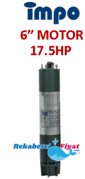 İMPO 17.5Hp - 13Kw 6'' Dalgıç Motor (V Tipi)
