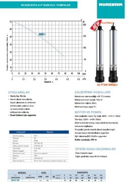 Momentum 4DS7-80   1.5Hp 220V   4'' Keson Kuyu Pompa (20 metre kablolu-Panolu-Flatörlü)