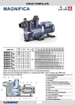 Pedrollo MAGNIFICA 1m     0.75Hp  220V   Ön Filtreli Havuz Pompası