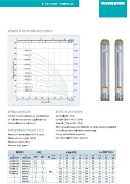 Momentum 4XRM3/1.5   2Hp 220V   4'' Dalgıç Pompa (Tek Pompa)