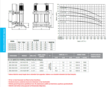 Etna 2 KO 45/5-150 20hp 380v İki Pompalı Çok Kademeli Paket Hidrofor