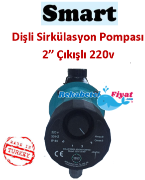 Smart SPM32/8-180 MF 220v 2'' Çıkışlı Dişli 3 Hızlı Sirkülasyon Pompası