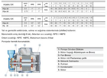 Pedrollo PQm 70   0.85Hp 220V  Preferikal Santrifüj Pompa