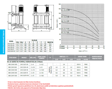 Etna 2 KO 25/4-40 5.5hp 380v İki Pompalı Çok Kademeli Paket Hidrofor