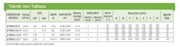 Dab JETİNOX 102 M   0.75kW  220V   Paslanmaz Çelik Gövdeli Jet Pompa