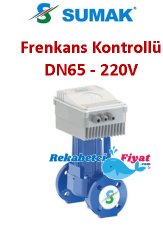 SUMAK SSP 65/12 INV 220V DN65 Frekans Kontrollü Sirkülasyon Pompası