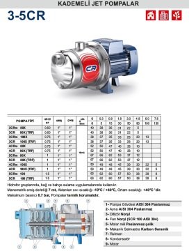 Pedrollo  5CRm 80X     1 Hp 220V   Paslanmaz Gövdeli  Kademeli Jet Pompa