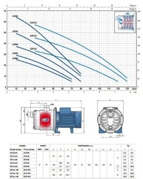 Pedrollo  5CRm 100     1.5 Hp 220V   Paslanmaz Gövdeli  Kademeli Jet Pompa
