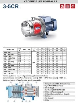 Pedrollo  5CRm 100     1.5 Hp 220V   Paslanmaz Gövdeli  Kademeli Jet Pompa