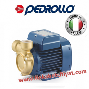 PEDROLLO PQm 65 - BS 0,7HP 220V Preferikal Bronz Gövdeli Pompalar