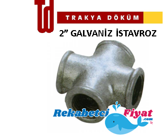 TRAKYA DÖKÜM 2'' Galvaniz Kuruva