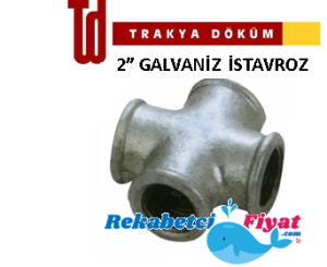 TRAKYA DÖKÜM 2'' Galvaniz Kuruva