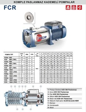 Pedrollo  FCRm 200/3    1.5 Hp 220V  Komple Paslanmaz Yatay Kademeli Pompa