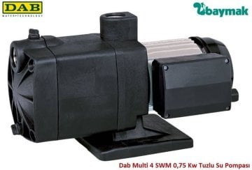 Dab MULTI 4 SW M   0.75kW  220V  Yatay Çok Kademeli Noril Pervaneli Tuzlu Su Pompası - 4 Kademeli