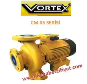VORTEX CM 65-125C 5,5HP 380V Yatay Monoblok Santrifüj Pompa