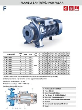 Pedrollo F 32 / 160B    3Hp 380V  Flanşlı Santrifüj Pompa