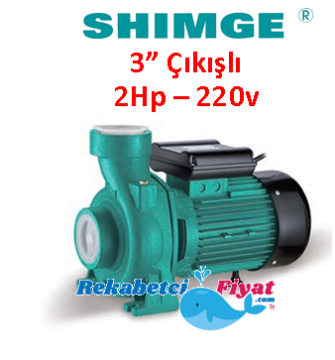 SHIMGE SHFm6B 2Hp 220v 3'' Çıkışlı Tek Kademeli Santrifüj Pompa