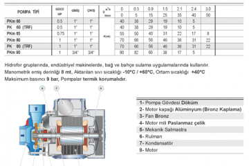 Pedrollo PK 60 0.5hp 380v Preferik Santrifüj Pompa