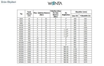 Wenta  WE-150  150 Litre  10 Bar  Dikey Ayaklı Tip Hidrofor ve Genleşme Tankı (Manometreli)