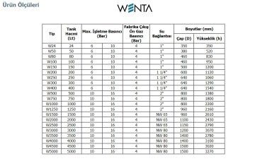 Wenta  WE-1500  1500 Litre  16 Bar  Dikey Ayaklı Tip Hidrofor ve Genleşme Tankı (Manometreli)
