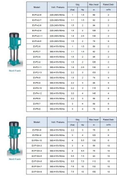 Leo  EVP4-12       4 Hp  380V    Dikey Milli Noril Fanlı Çok Kademeli Pompa