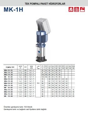 Pedrollo MKm 1H - 3/5    1X1.5Hp 220V  Tek Pompalı Dikey Milli Paket Hidrofor